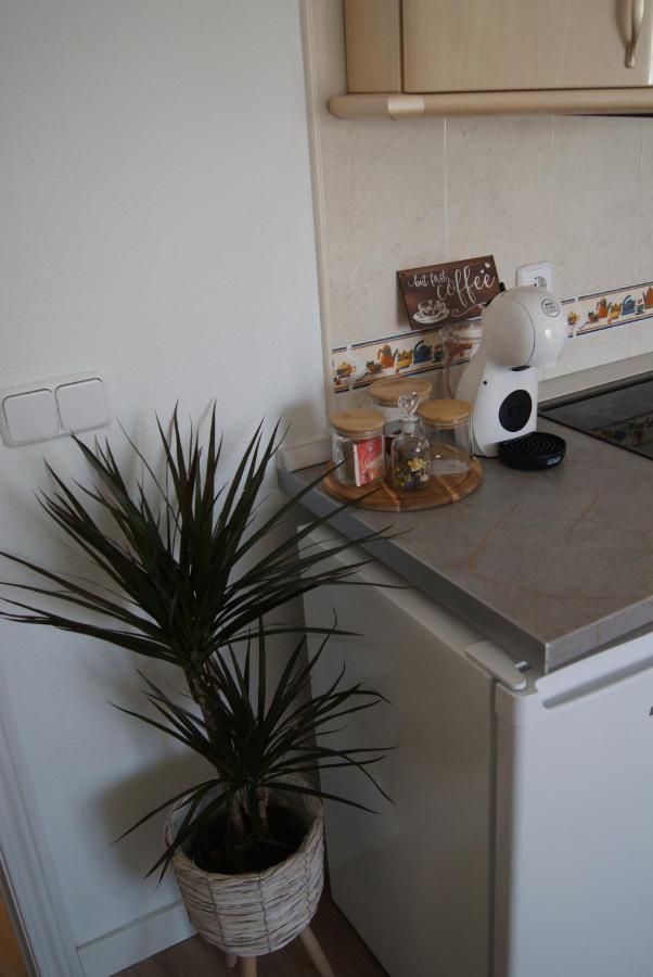 Apartamento Penas Blancas, Junto A Ruta De Los Cahorros, Monachil. Dış mekan fotoğraf